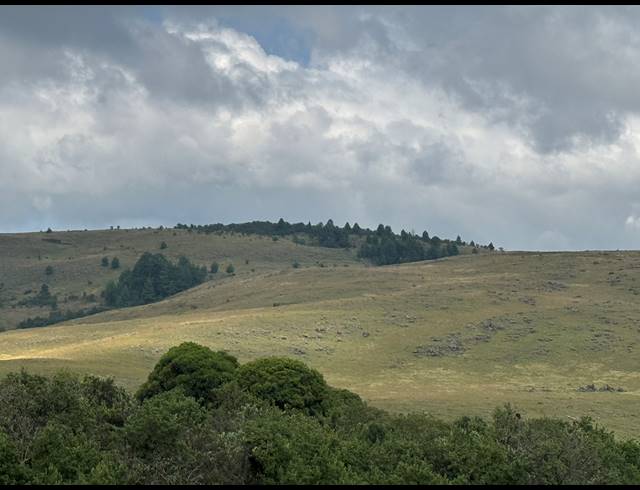 1,730HA FARM FOR SALE IN DARGLE